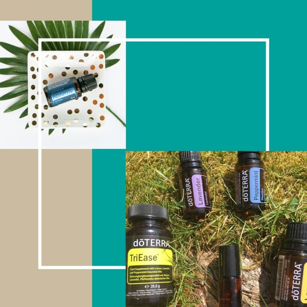 Lisa Lomas Canva Branding Template